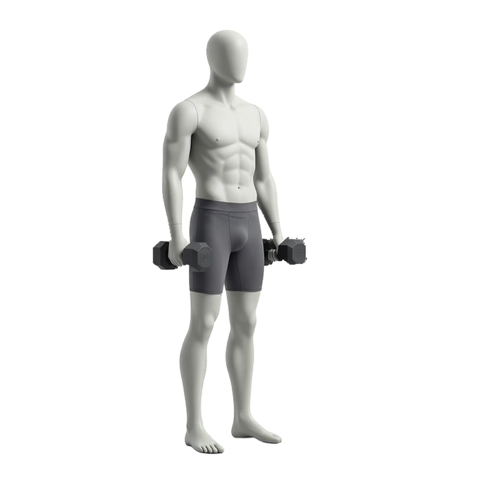 Standing Dumbbell Hammer Curl loop on dark